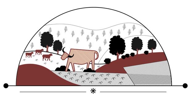 Pasture